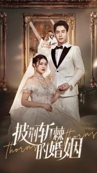 别惹前女友全集免费观看电视剧下载百度云盘