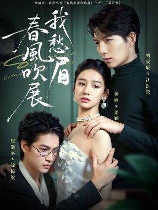 青花周传雄视频播放全集免费观看