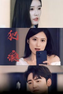 《中国》纪录片观后感3000字左右作文大全