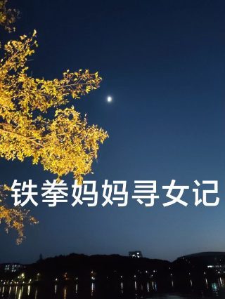 秘密教学23子豪我们再做一次吧