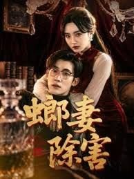 风云雄霸天下高清国语免费观看电影