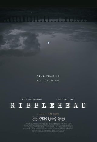 君子如玉电视剧免费观看星辰