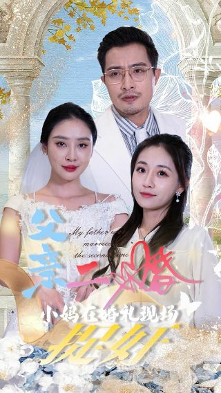 张小斐 《好事成双》演员表大全