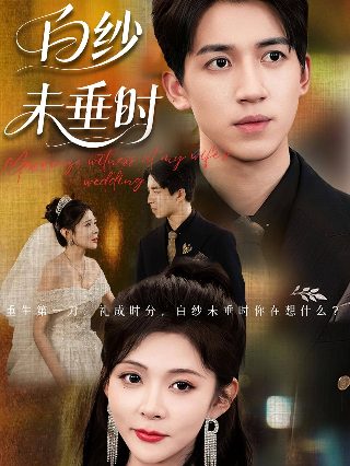 电视剧银狐全集播放在线观看