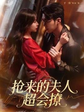 大宅门第一部第13集免费观看视频