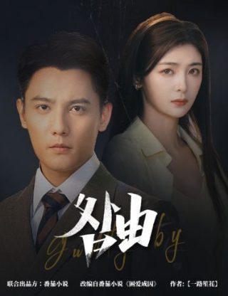 百年的遗产第50集免费观看下载视频