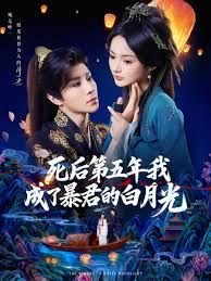 落入你的红尘万丈网剧免费观看