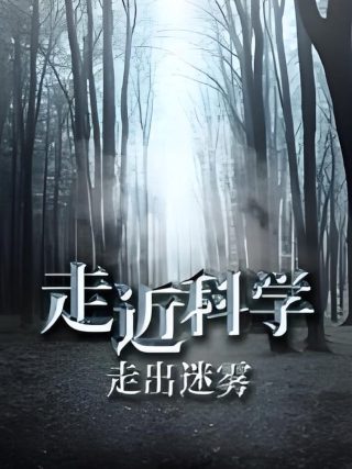 名侦探柯南1193片尾曲