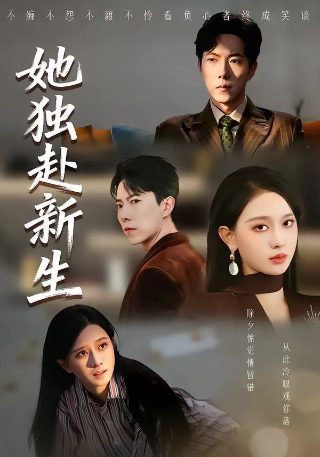 电影《七匹狼》在线观看视频免费高清下载