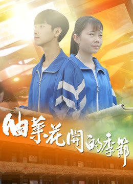 清道夫电视剧全集观看免费