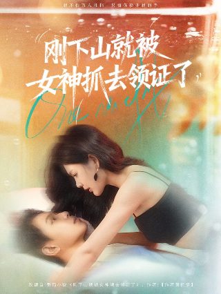 灵契全集免费