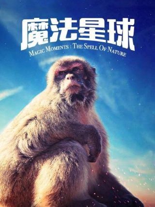 修女禁爱大结局