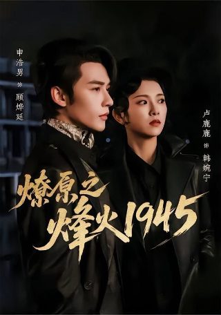 双重人生 百度云