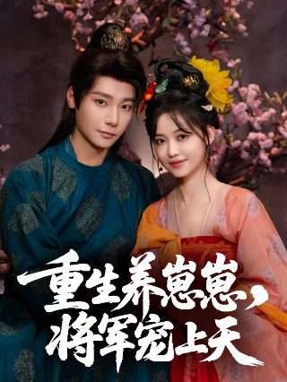 女神异闻录网剧百度云盘