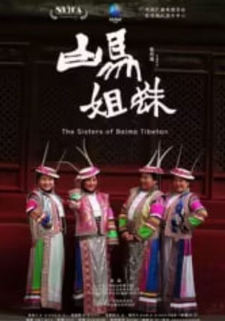 经典黑帮电影暗花在线观看免费
