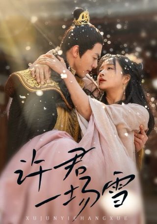 我是老板电视剧手机免费观看
