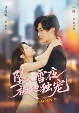 在远方在这里全国巡演