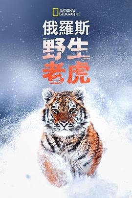 白猫project破解