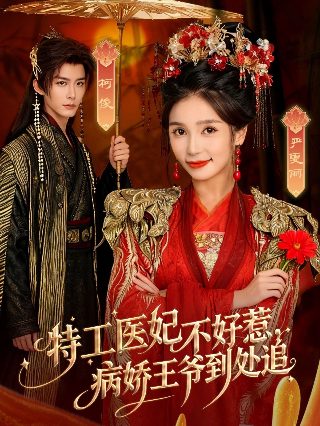 中原镖局第1部在线观看全集视频