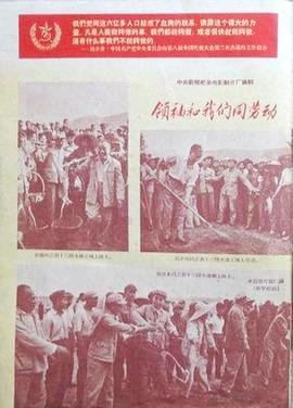 憨豆先生全集资源百度云