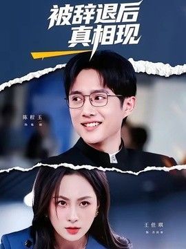三次元女友有几集