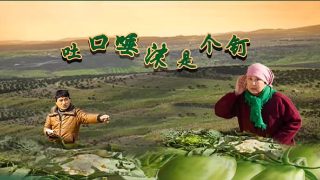 80后必看十部经典电影