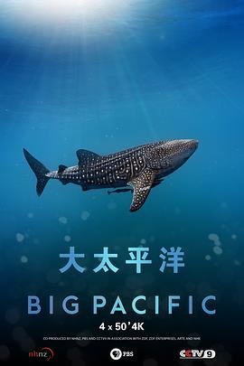 浪人百度云资源链接