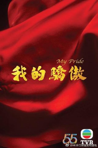 双喜盈门连续剧全集在线观看高清