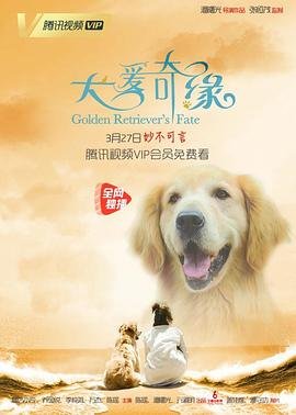 大城市小浪漫剧情简介