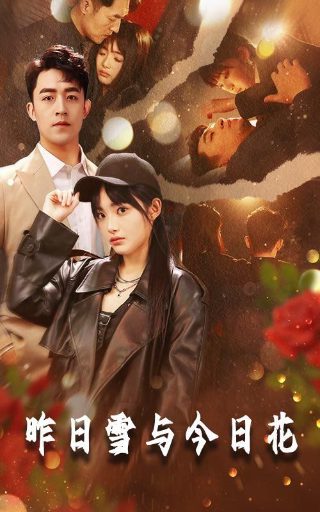 欢乐颂318集剧情