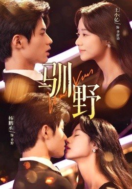 扫黑风暴番外篇在哪看全集完整版