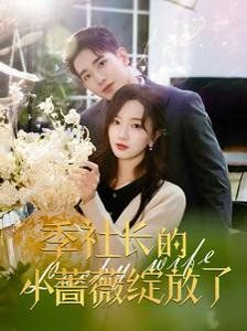 妙女神探第六季在线播放高清