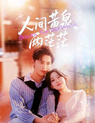 圈套电视剧演员表介绍大全