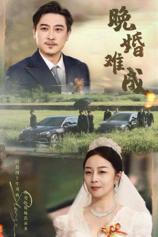 傻儿传奇免费观看下载全集