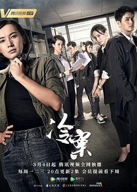 龙哥纪录片后续剧情介绍