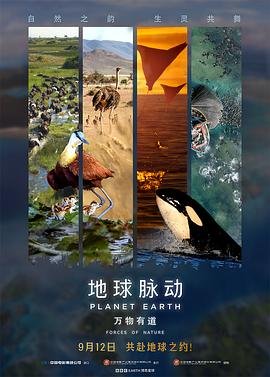 《开端》第二部在线观看全集免费播放下载