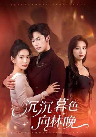 《我们的少年时代》第二部叫什么名字