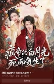 机智的上半场第六季剧情介绍