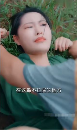 一炮而红 百度网盘下载