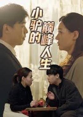结婚吧电视剧全集在线观看免费