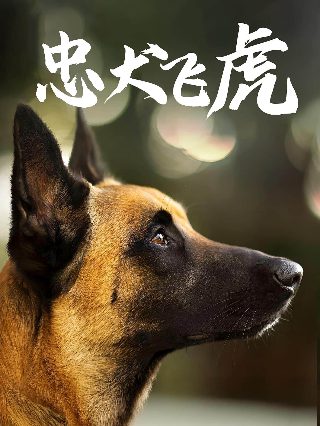 贝克汉姆维多利亚的慈善