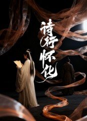 GOGOGO国语港版电视剧