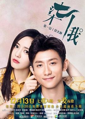 唐人街探案电视剧主题曲