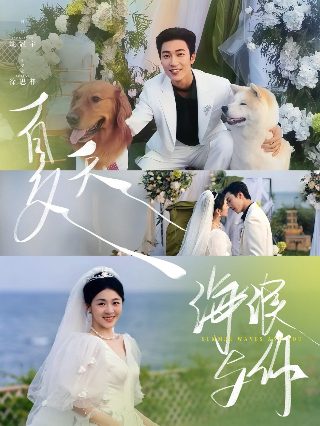 人间灶王花妖迷惑