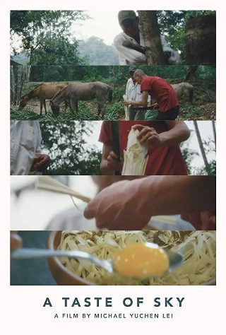 喜宝电视剧大结局是什么名字