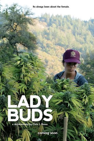 我的春节500字作文初一上册