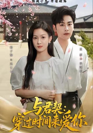 连续剧回家电视剧免费观看