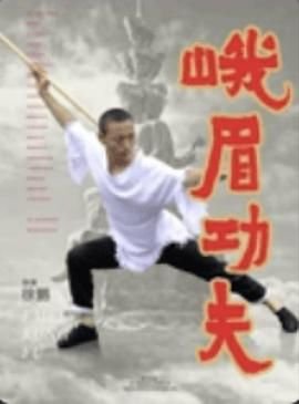 看《海贼王》的网站推荐下载安装免费