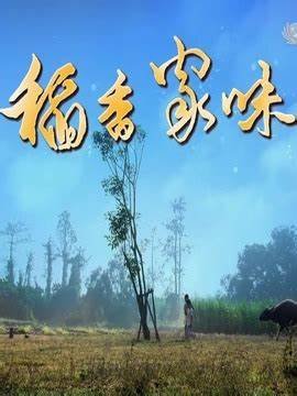 男人三十不低头大结局