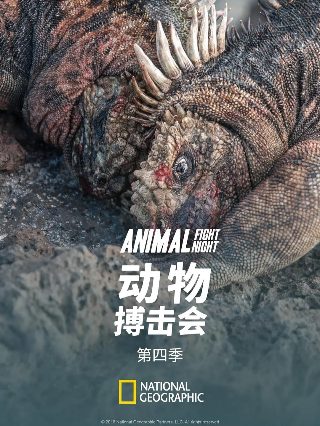 偏偏就宠你短剧